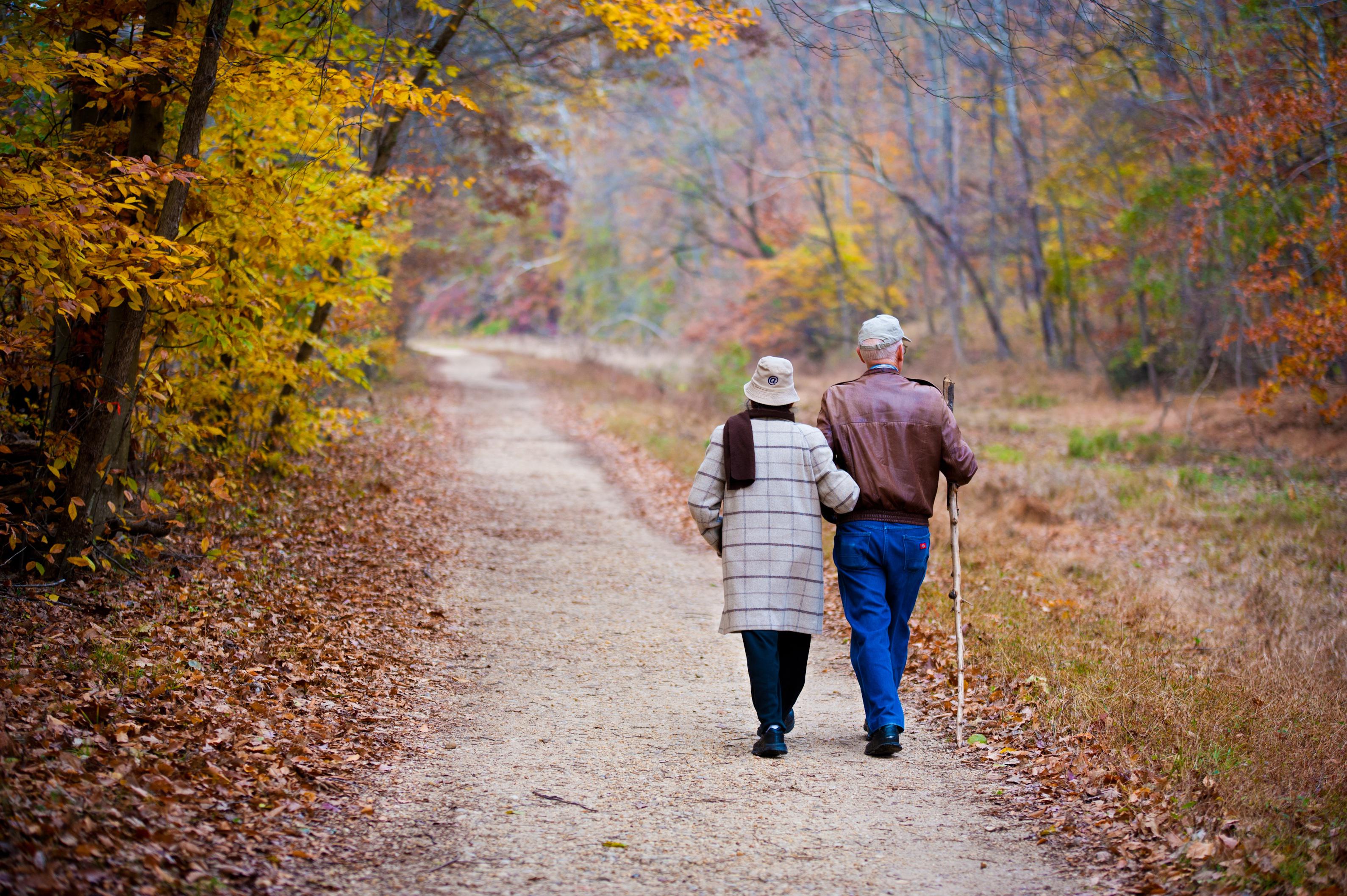 Sarcopenia: conoscerla e prevenirla con strategie nutrizionali ed attività fisica